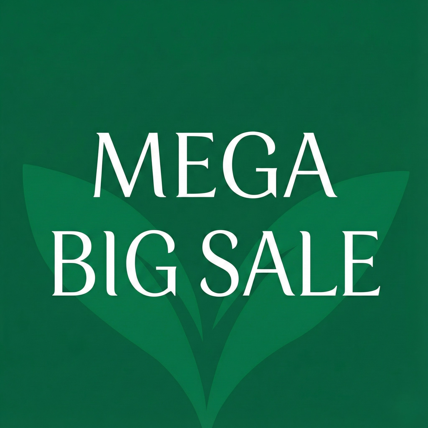 Mega Big Sale